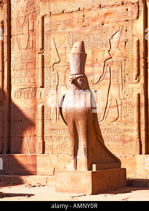Statue du dieu Horus au Temple d'Horus d'Edfou, Egypte Banque D'Images