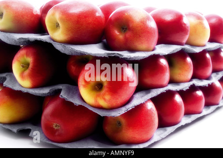 Des pommes fraîches, Variété Jazz Banque D'Images
