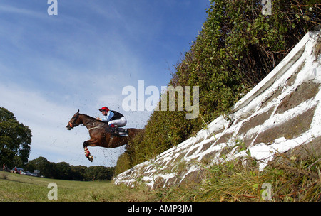 Saut à cheval sur un obstacle à une course de chevaux, Berlin, Allemagne Banque D'Images