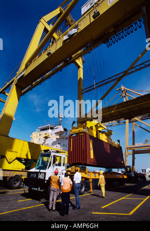 Émirats arabes unis Dubaï Port Jebel Ali Grues Laser décharge des conteneurs Banque D'Images