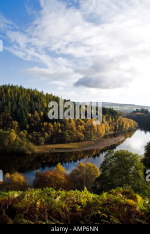 dh LOCH FASKALLY PERTHSHIRE arbres d'automne glen pitlochry tummel vallée bois d'écosse Banque D'Images