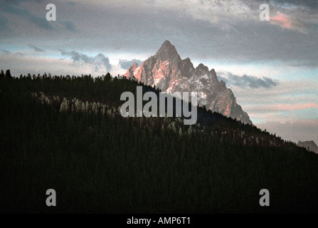 La lumière du soleil tire sur forêt verte avec en arrière-plan pointe Teton à Grand Tetons National Park Banque D'Images