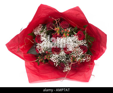 Petit bouquet de roses rouges enveloppées de blanc, les cheveux des anges et feuilles vertes Banque D'Images