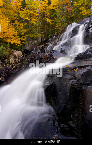 Chutes aux Rats, cascade, entouré par les couleurs de l'automne dans le Parc national du Mont Tremblant, Laurentides, Québec, Canada. Banque D'Images