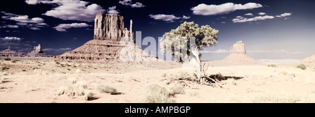 Modifié numériquement, à fort contraste de l'image Trois mitaines et un arbre du désert de Monument Valley, en Utah et en Arizona Banque D'Images