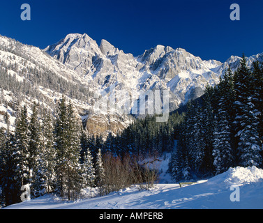 Montagnes Rocheuses, Kananaskis, Alberta, Canada Banque D'Images