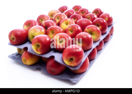 Les pommes fraîches - Variété Jazz Banque D'Images