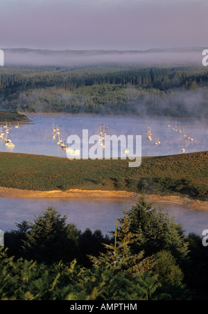 Kielder Water et forêt en Parc National de Northumberland Banque D'Images