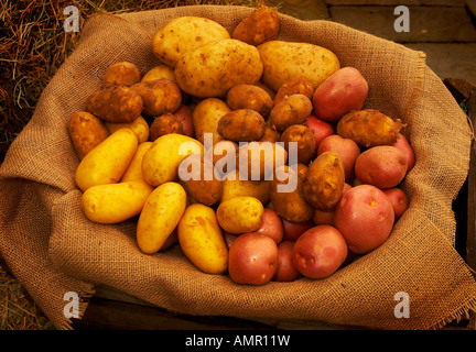 Sac de pommes de terre mélangées dans un sac en tissu pour la vente dans un marché Banque D'Images