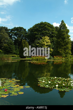 Burnby Hall Gardens Pocklington East Yorkshire Banque D'Images