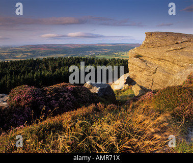 La vue sur la foresterie commerciale de Dove de rocher de l'Simonside Hills près de Rothbury, Parc National de Northumberland, Angleterre Banque D'Images