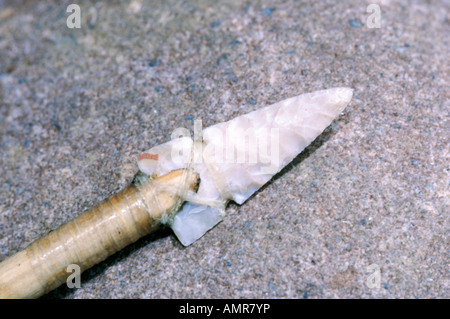 Une pointe de flèche en silex attaché à un tendon de cerf avec flèche de saule à la main par des voies antiques Nester Tony Banque D'Images