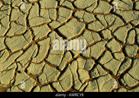 Close Up of Cracked Earth in Desert Banque D'Images