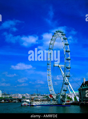 Angleterre Londres London Eye River Thames Banque D'Images