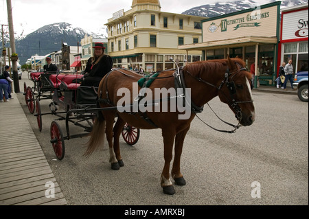 USA, Alaska, Passage intérieur, Skagway, Cheval et buggy tours Banque D'Images