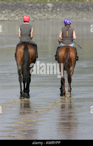 Les cavaliers sur la rive de l'Elbe, Hambourg, Allemagne Banque D'Images