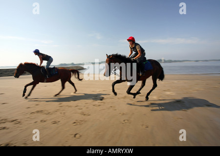 Les cavaliers sur la rive de l'Elbe, Hambourg, Allemagne Banque D'Images