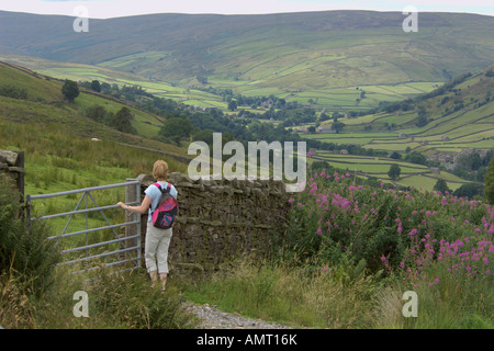 Regarder sur Swale Dale de col Buttertubs Yorkshire Dales National Park Août 2006 Banque D'Images