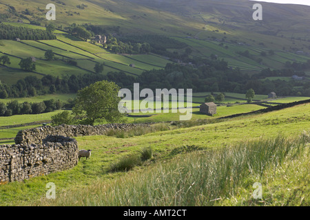 Regarder sur Swale Dale de col Buttertubs Yorkshire Dales National Park Août 2006 Banque D'Images