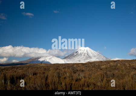 Vue d'un volcan couvert de neige Mont Ngauruhoe, Nouvelle-Zélande Banque D'Images