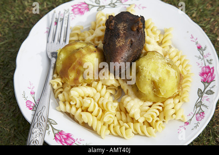 Petit déjeuner randonnée andine de nouilles des pommes frites et une tête de cochon d'Inde (cuy). Banque D'Images
