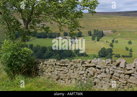 Regarder sur Swale Dale de col Buttertubs Yorkshire Dales National Park Août 2006 Banque D'Images