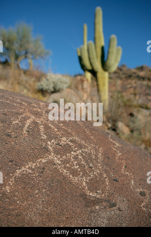 Un Hohokum sur un site de pétroglyphes indiens en Arizona près de Tucson connue à l'inscription Hill Banque D'Images