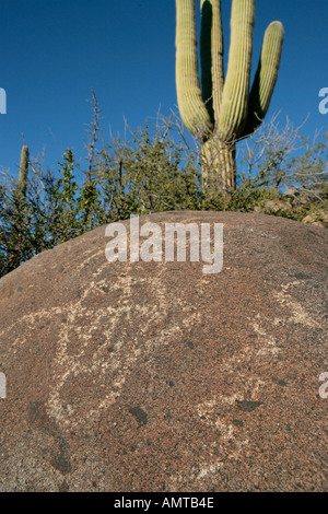 Un Hohokum sur un site de pétroglyphes indiens en Arizona près de Tucson connue à l'inscription Hill Banque D'Images