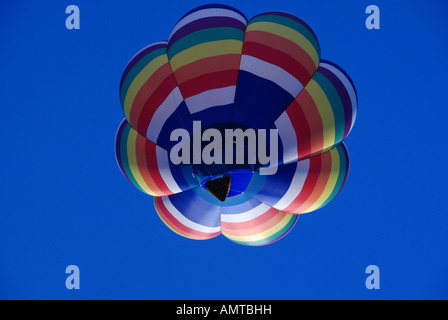 Ballon à air chaud couleur flottant dans le ciel bleu profond comme une fleur Banque D'Images