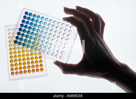 Techniciens du sexe féminin hand holding titré Essai laboratoire des échantillons sur un fond blanc Banque D'Images