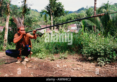 Un tribesman de l'IBAN démontre l'utilisation d'une pipe à soufflage, dans le village d'Engkari, à Sarawak, Bornéo, Malaisie. Banque D'Images