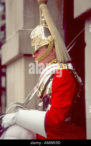 Soldat de garde à Horse Guards Parade Whitehall London Grande-Bretagne Banque D'Images