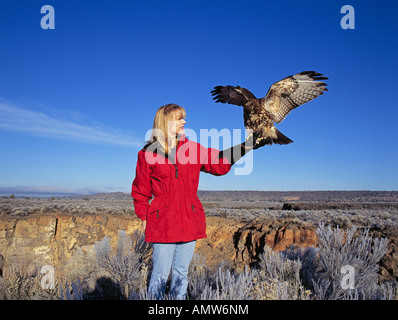 USA OREGON HIGH DESERT une femme falconer avec une buse à queue rouge prenant part à la fauconnerie sportives sur le haut désert près de Bend Banque D'Images