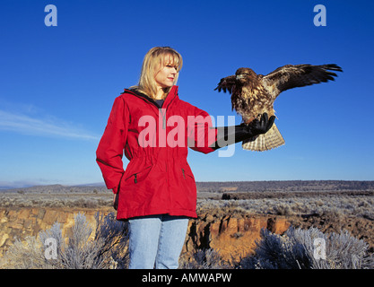 USA OREGON HIGH DESERT une femme falconer avec une buse à queue rouge prenant part à la fauconnerie sportives sur le haut désert près de Bend Banque D'Images