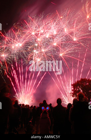 Regarder la foule d'artifice Banque D'Images