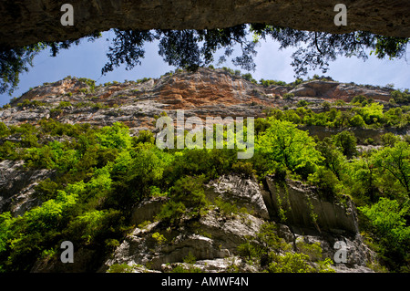 Canyon, Canon de Ansiclo les murs et les arbres d'un vert vif, le parc national Ordesa y Monte Perdido National, Site du patrimoine mondial de l'UNESCO Banque D'Images