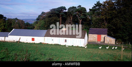 Ulster Folk Transport Museum, l'Irlande du Nord Banque D'Images