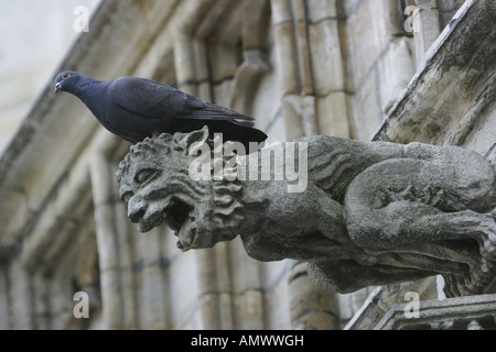 À l'hôtel de ville historique de gargouille, Belgique, Bruessel Banque D'Images