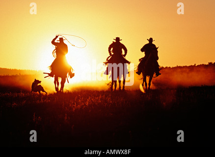 Silhouette de trois cowboys tournant avec une cowdog au coucher du soleil dans l'Oregon Banque D'Images