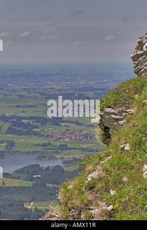 Vue à partir de la flore alpine avec Alpspitz, Allemagne, Bavière, Allgaeu, Nesselwang Banque D'Images