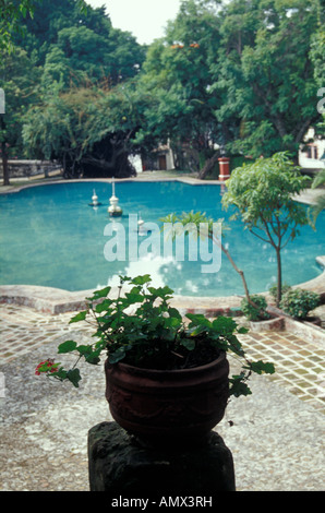 La vigne en pot et piscine dans le jardin le jardin Borda, Cuernavaca, Morelos, Mexique. Banque D'Images