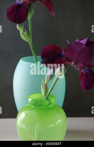 Close-up of flowers in vase Banque D'Images