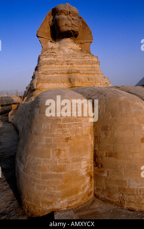 Low angle view of Sphinx, Giza, Egypte, Afrique Banque D'Images