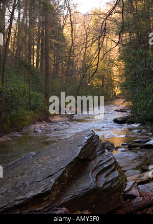 Ruisseau de montagne près de Looking Glass falls North Carolina usa brevard Banque D'Images