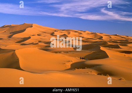 En chameau touristiques, Erg Chebbi, désert du Sahara, près de Merzouga, Maroc Banque D'Images