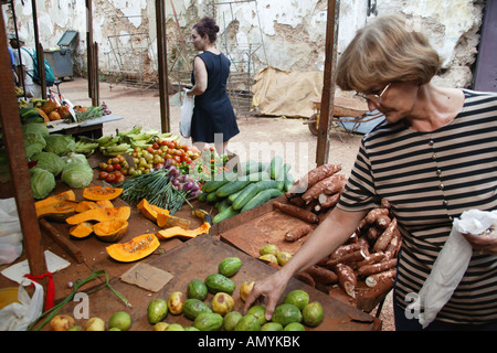 Les clients choisissant l'étal de légumes sur le marché des producteurs dans la région de La Havane. Banque D'Images