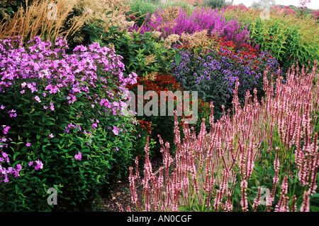 Pensthorpe, Phlox, Echinops, Calamagrostis Banque D'Images