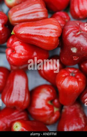 De près de l'Jambu, fruits ou de cire, Apple dans un marché à Luang Prabang, Laos Banque D'Images