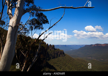 Trois Sœurs de Wollumai Lookout Blue Mountains Australie Nouvelle Galles du Sud Banque D'Images