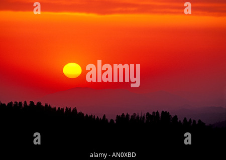 Coucher de soleil sur la Sierra Nevada foothills de Moro Rock Giant Sequoia National Park California Banque D'Images